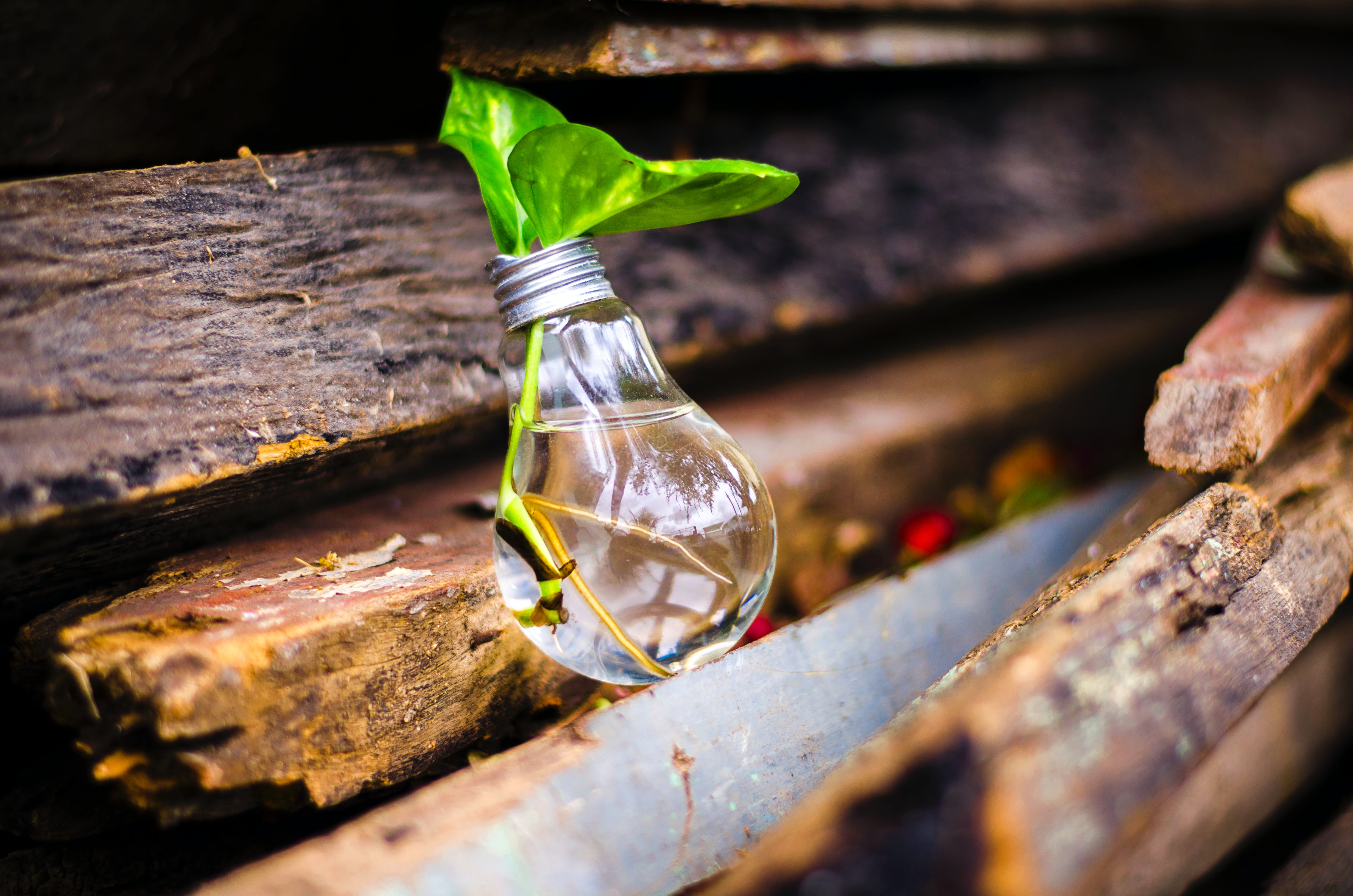 3 ejemplos de innovación no tecnológica en Colombia
