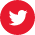 icono twitter