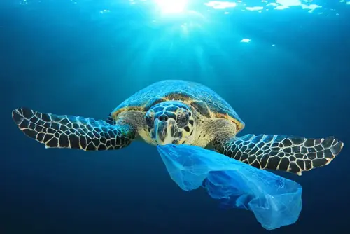 Día Internacional Libre de Bolsas de Plástico