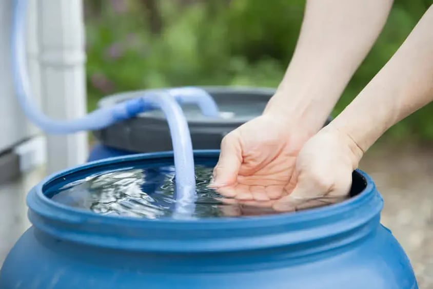 Recolección de agua de lluvia en canecas
