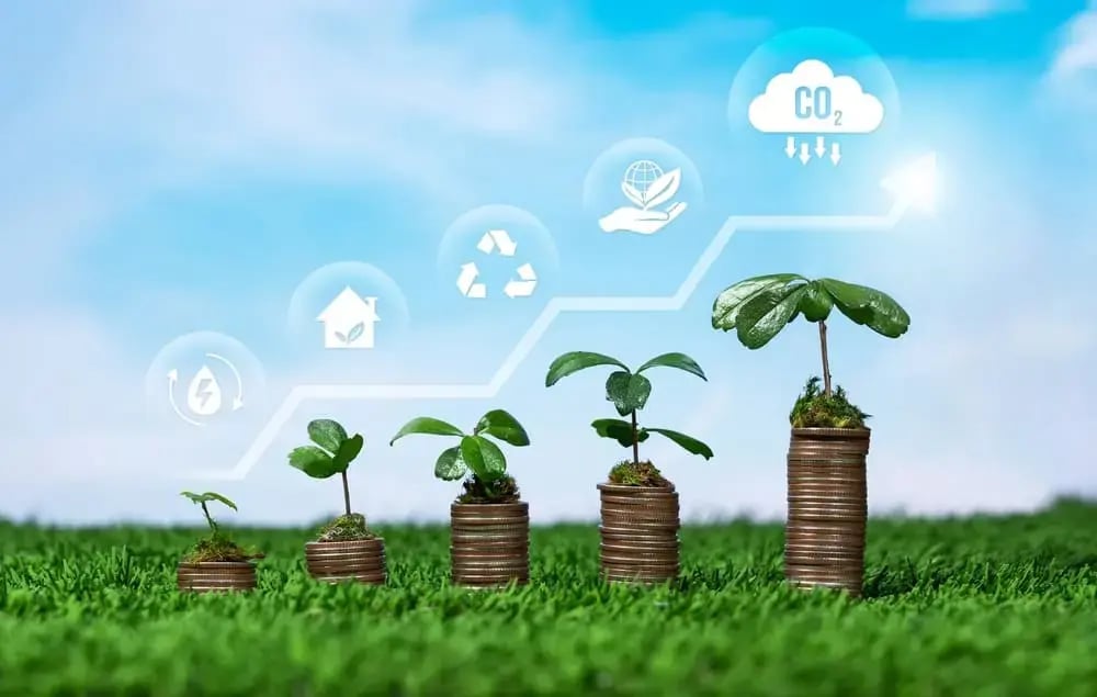 Sostenibilidad Financiera: qué es y por qué importa