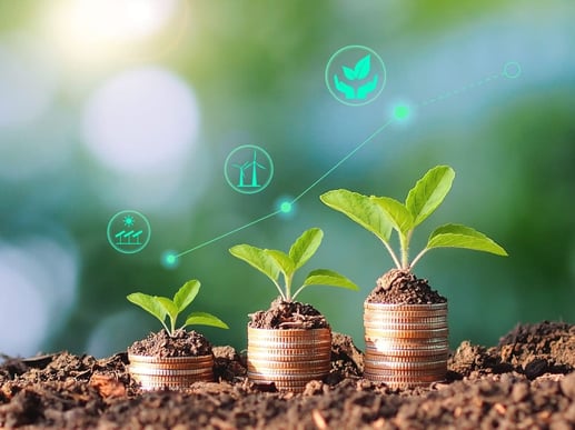 La banca canaliza recursos financieros hacia proyectos sostenibles con impacto positivo en el planeta.